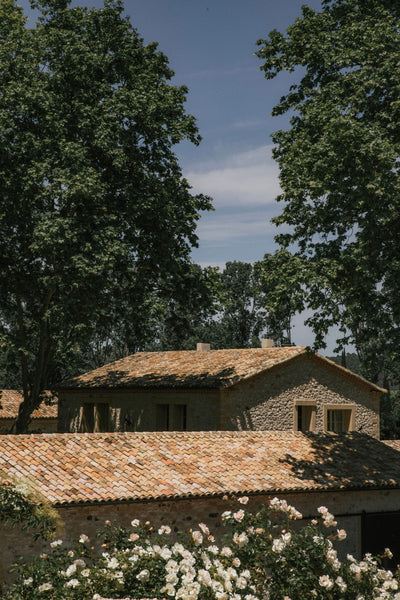 Visites & Dégustations
