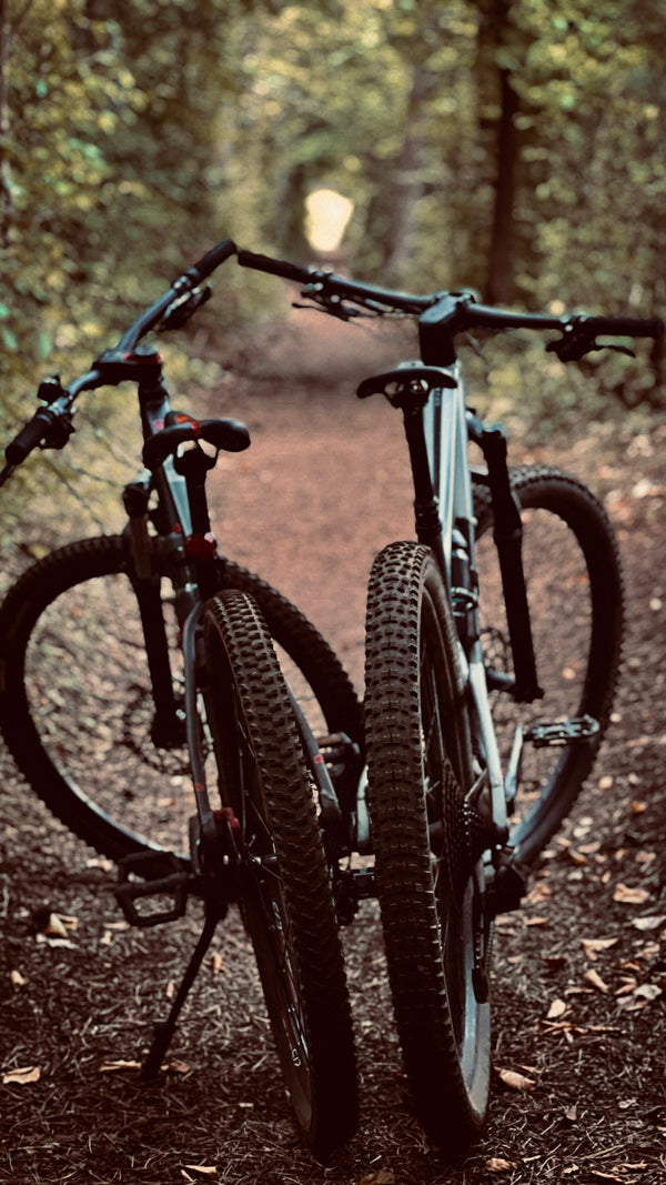 Balade en VTT électrique – Domaine de Panéry